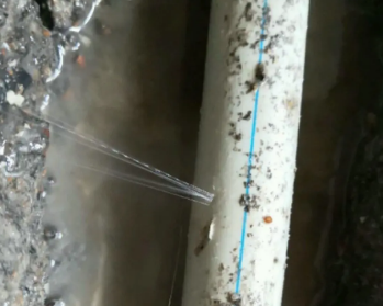 平武卫生间测漏水多少钱